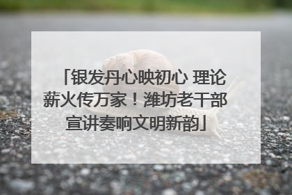 银发丹心映初心 理论薪火传万家！潍坊老干部宣讲奏响文明新韵